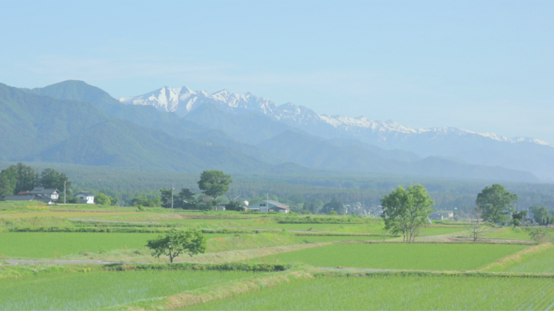 春が来る前に対策！住宅でできる花粉症対策／網走市・大空町　住宅建築と不動産の会社　河西組